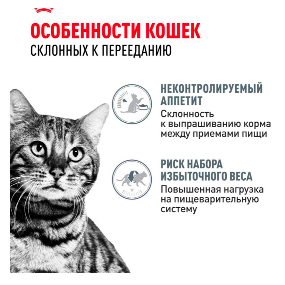Влажный Корм Для Кошек Royal Canin (Ройял Канин) Appetitus Control Care Желе 85г