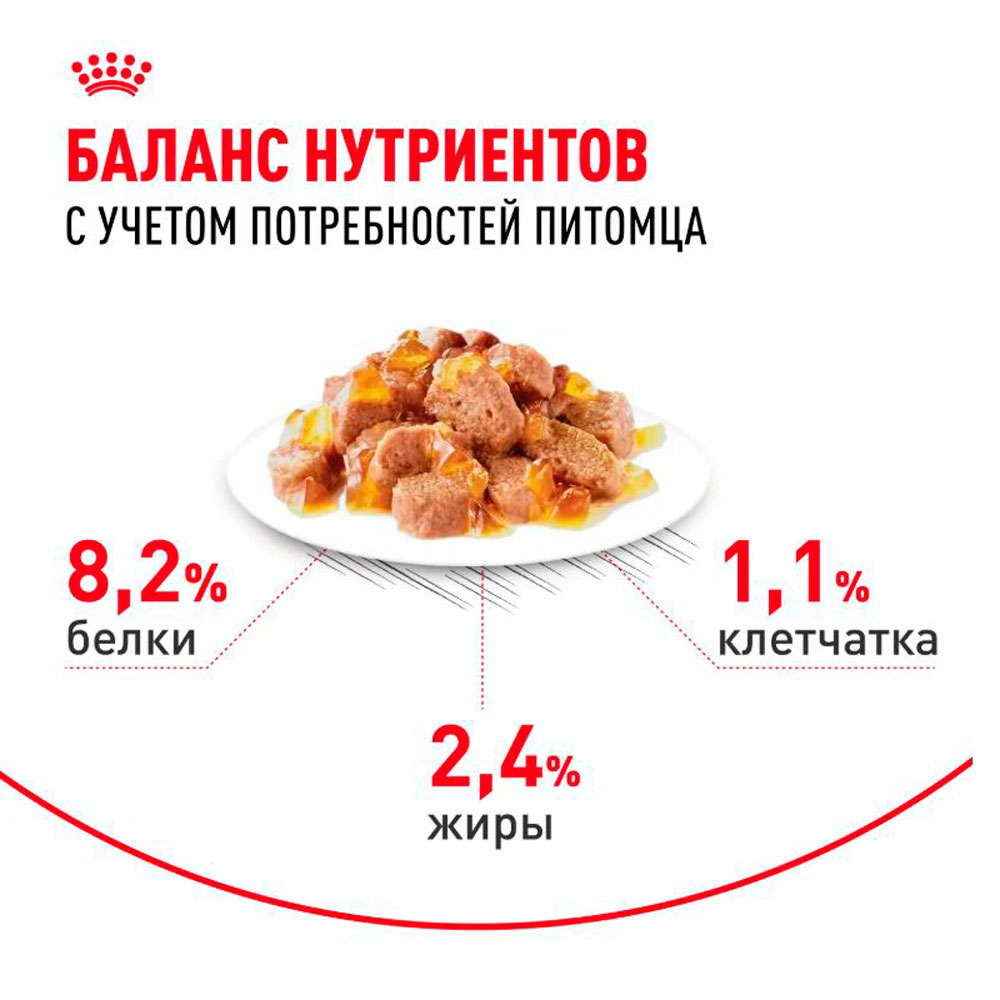 Влажный Корм Для Кошек Royal Canin (Ройял Канин) Appetitus Control Care Желе 85г