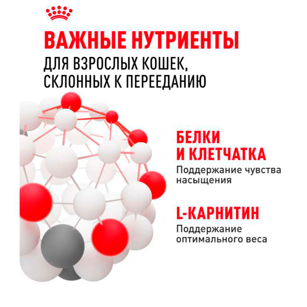 Влажный Корм Для Кошек Royal Canin (Ройял Канин) Appetitus Control Care Желе 85г