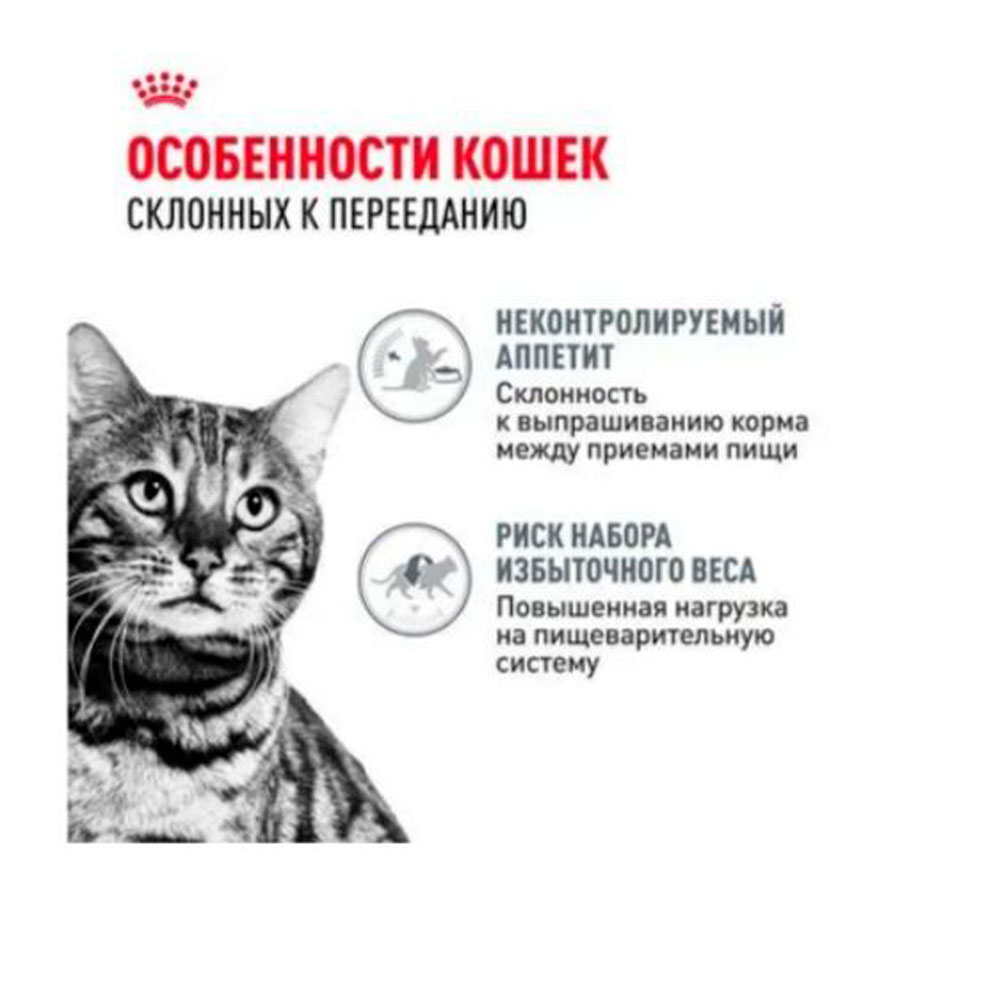 Влажный Корм Для Кошек Royal Canin (Ройал Канин) Appetitus Control Care 85г Соус