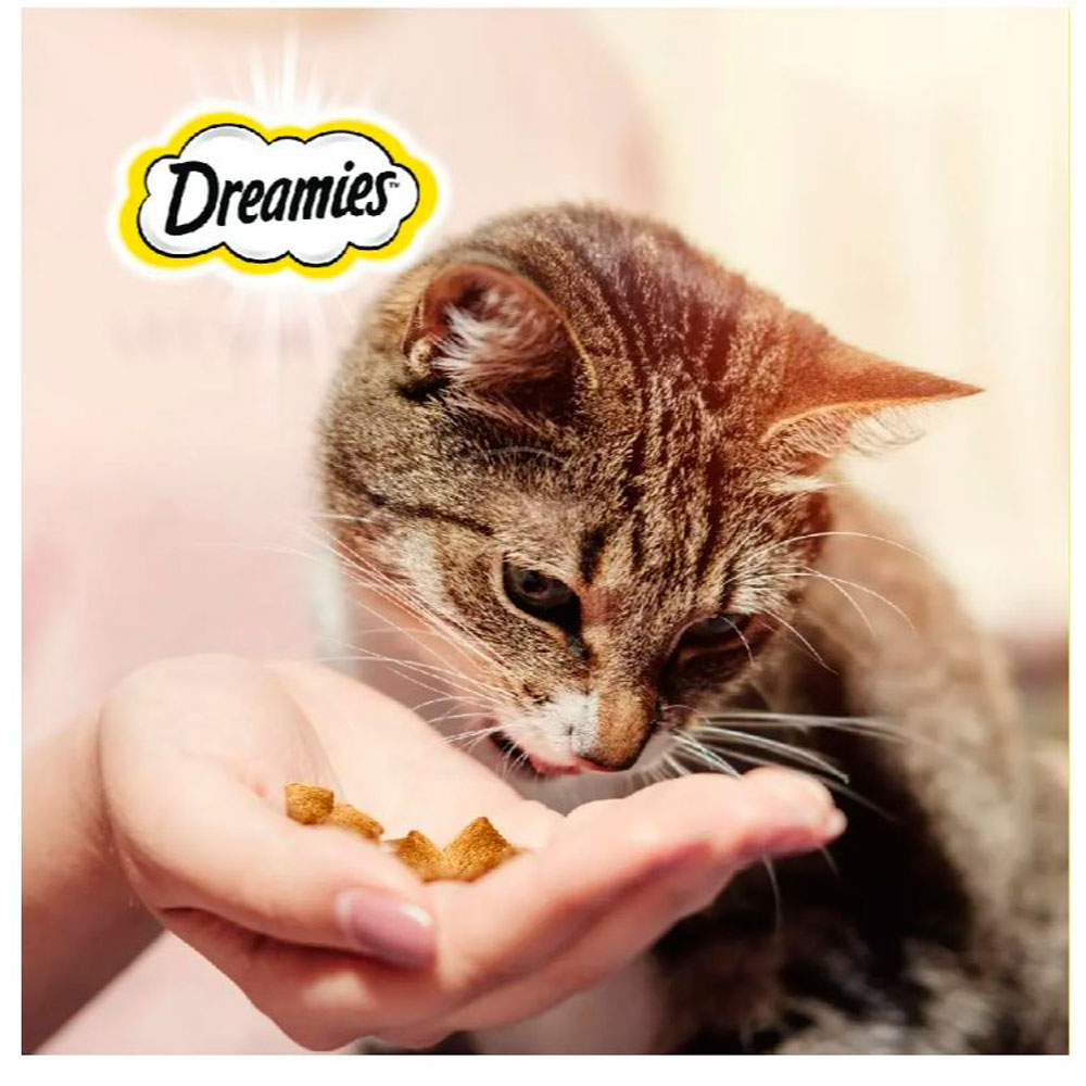 Лакомство Для Кошек Dreamies (Дримис) Лакомые Подушечки Курица 200г