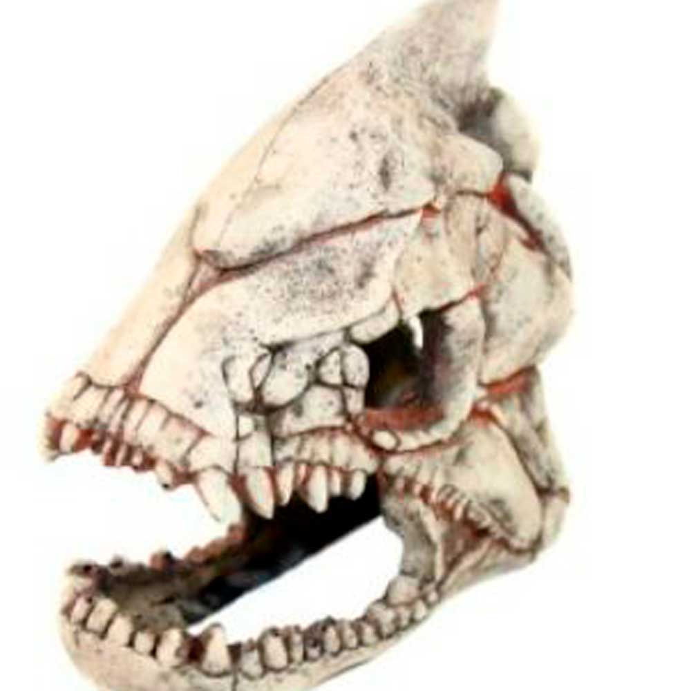 Грот Deksi (Декси) 902 Скелет Рыбы 22*11*20см D250826