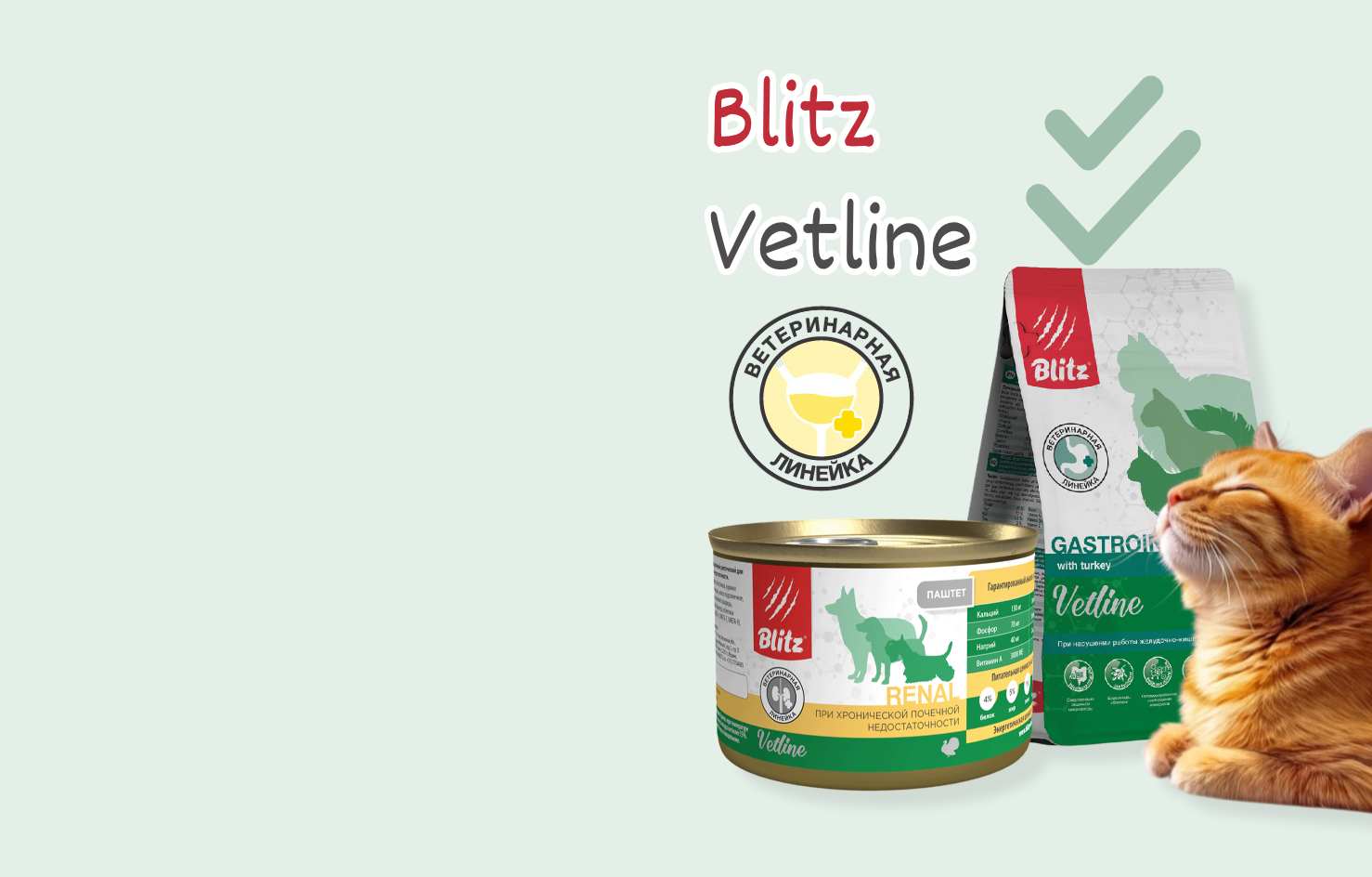 НОВИНКА
Blitz
Лечебный
Корм
Для Кошек
и Собак
от
