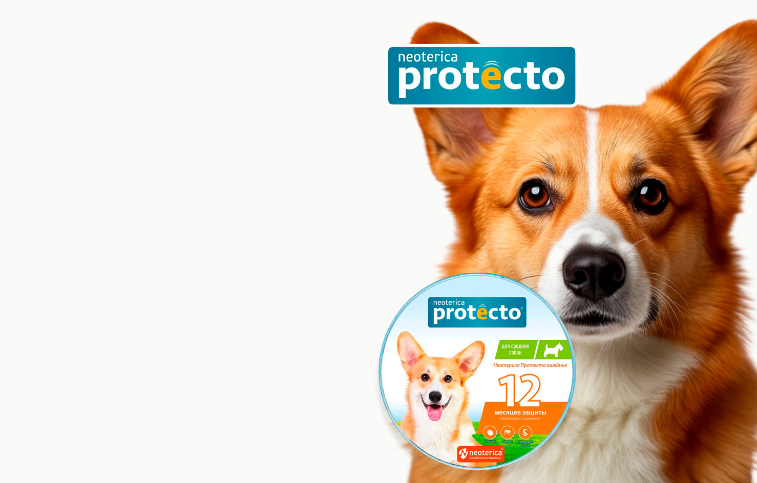 -20% Protecto
Ошейник
От Клещей
и Блох
Для Средних
Собак
12 мес. защиты