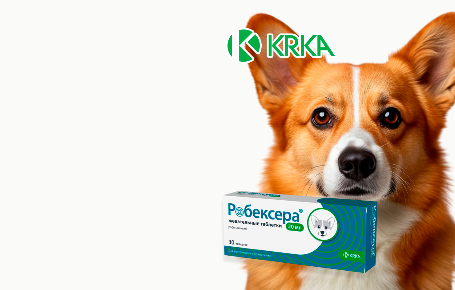 -30% Робексера
20мг  KRKA
Нестероидный
Противовосп
Для Собак
от 10 до 20 кг
30 Таб.