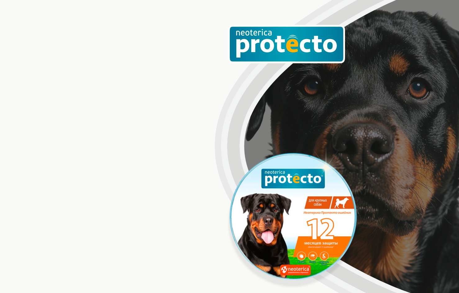 Ошейник
-20%
Protecto
От блох
и клещей
Для крупных
собак 12мес